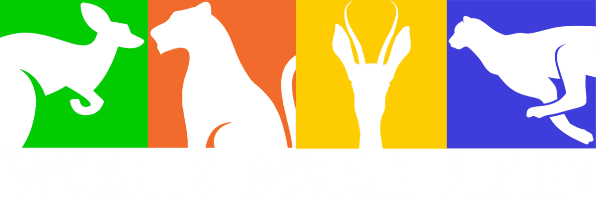 Website Design Plans